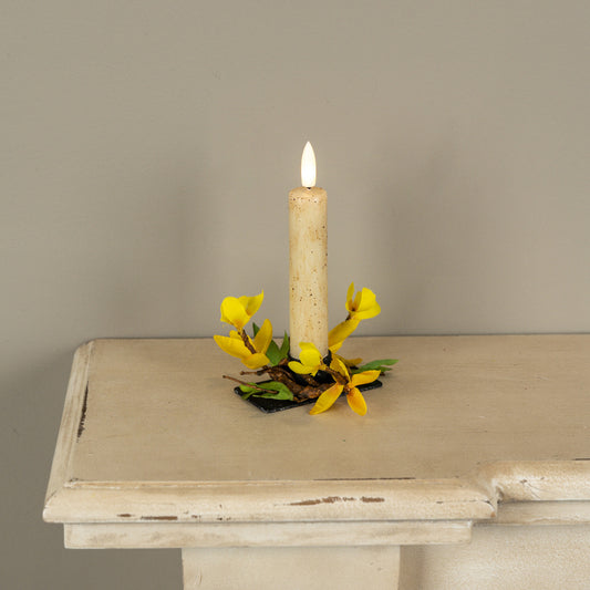 Yellow Forsythia Floral Collection