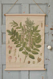 Botanical Canvas Wall Decor (Choice of two styles)