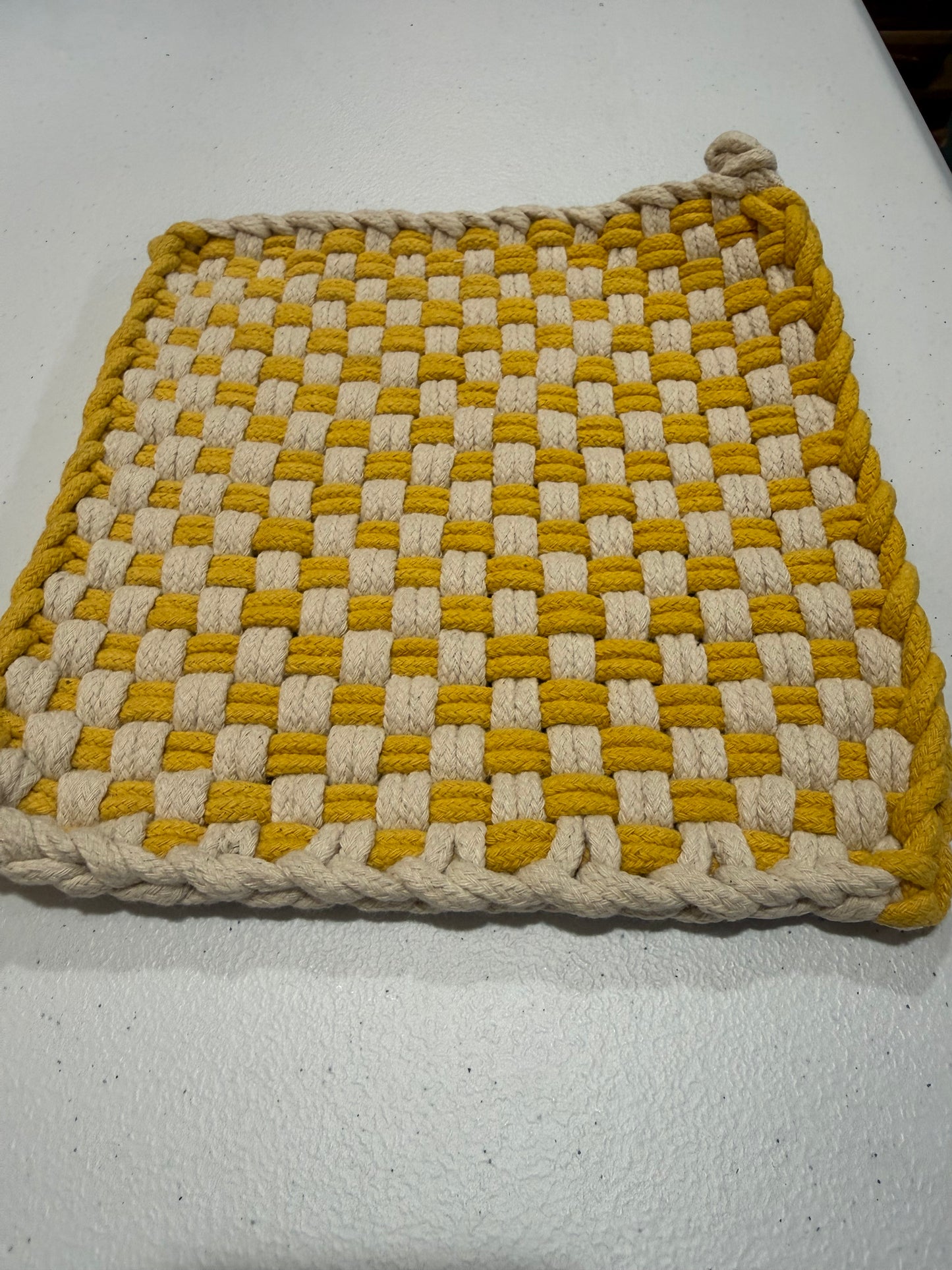 Autumn Check Potholder