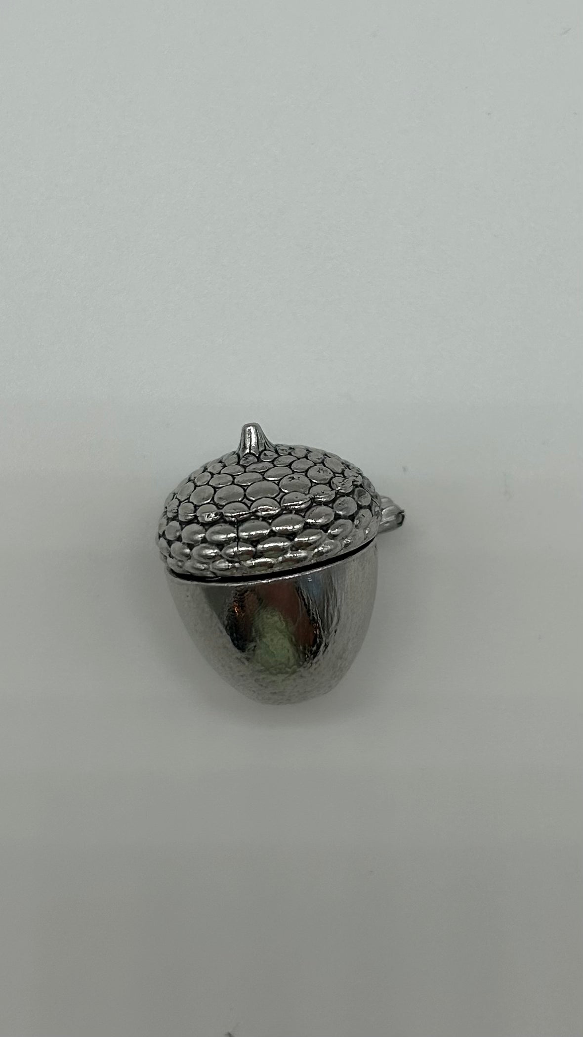 Squirrel Charm