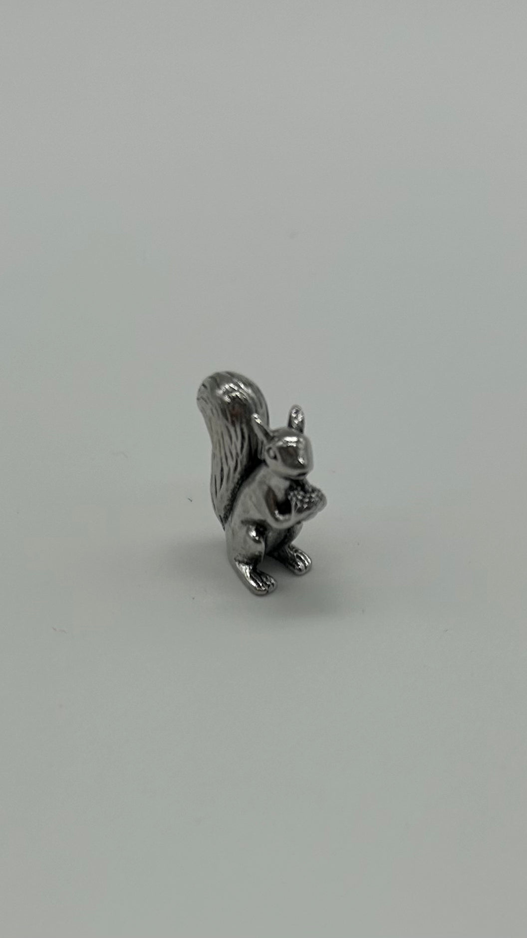 Squirrel Charm