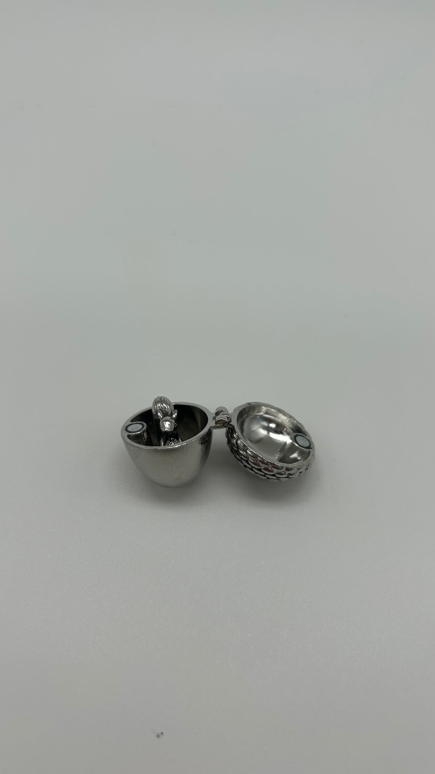 Squirrel Charm