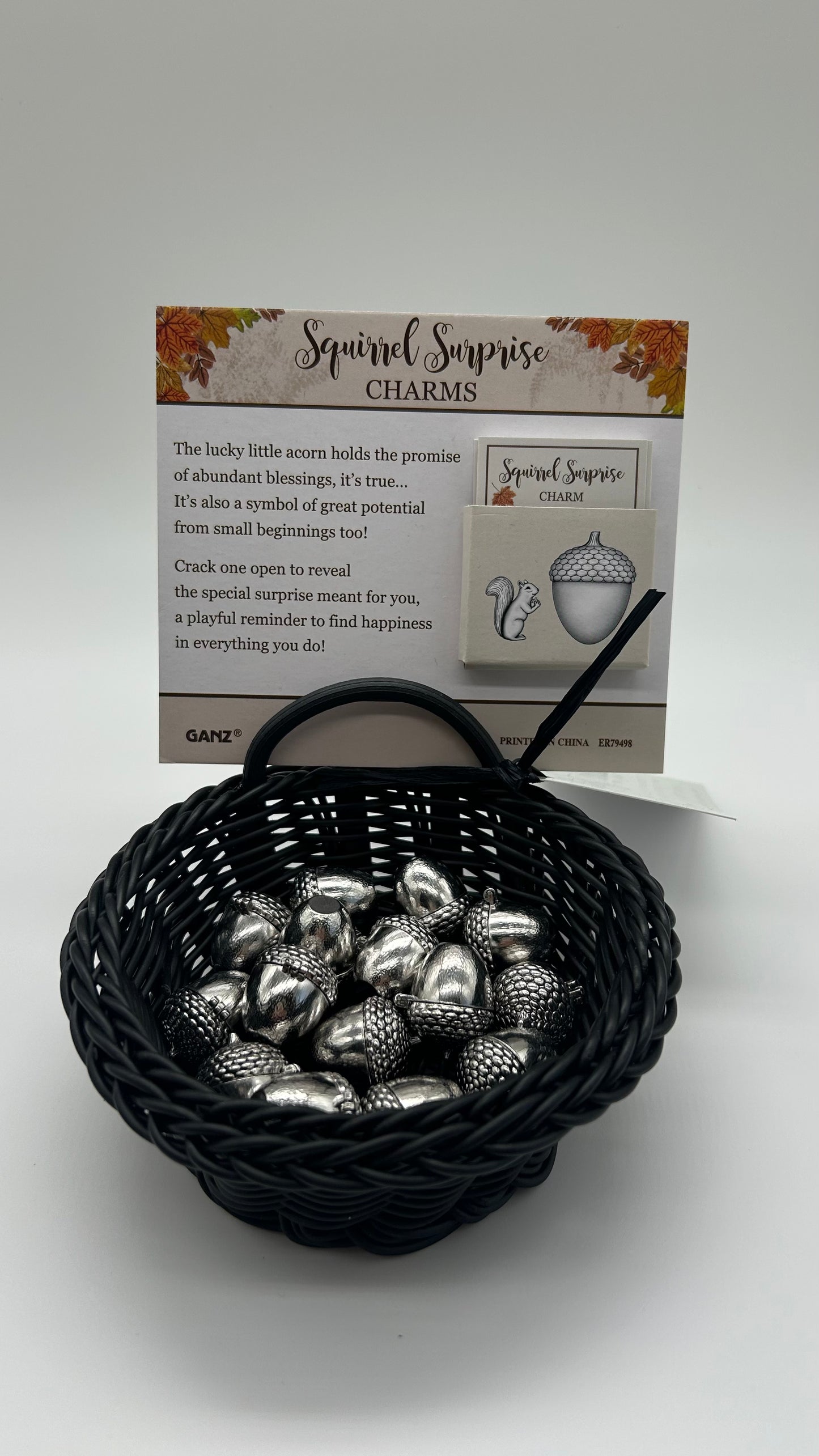 Squirrel Charm