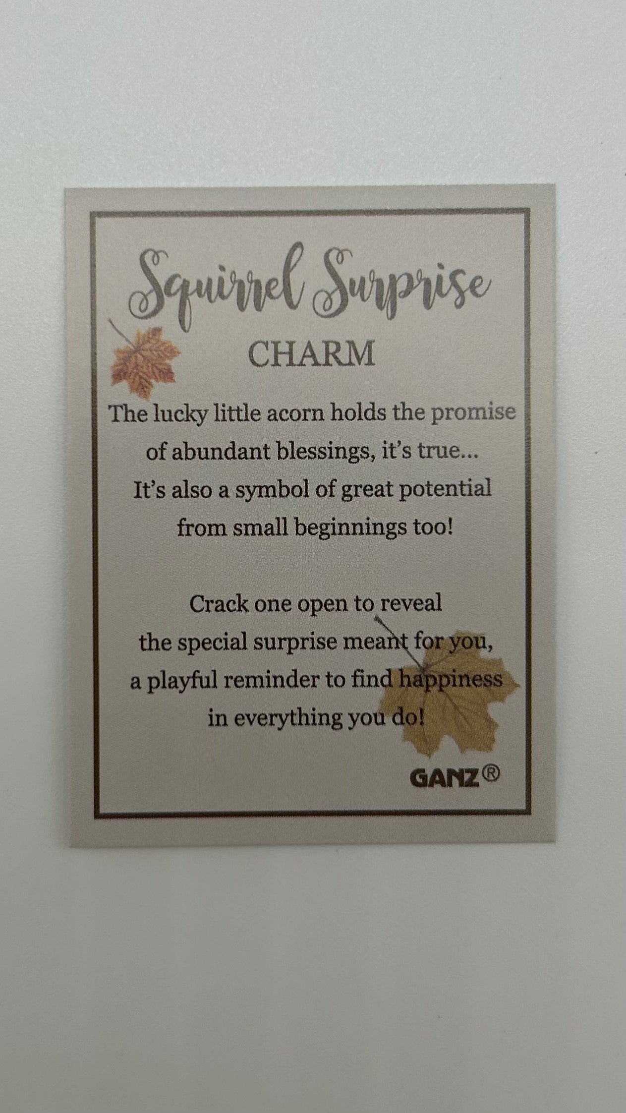 Squirrel Charm
