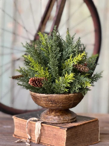 Prickly Pine Collection