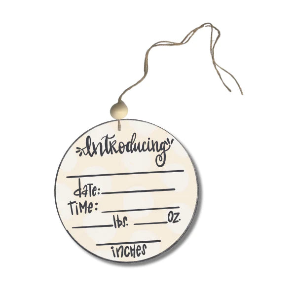 Blue Baby Door Hanger