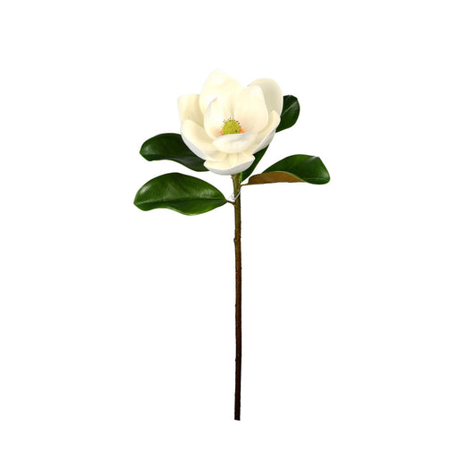 Magnolia Leaf with Flower Collection