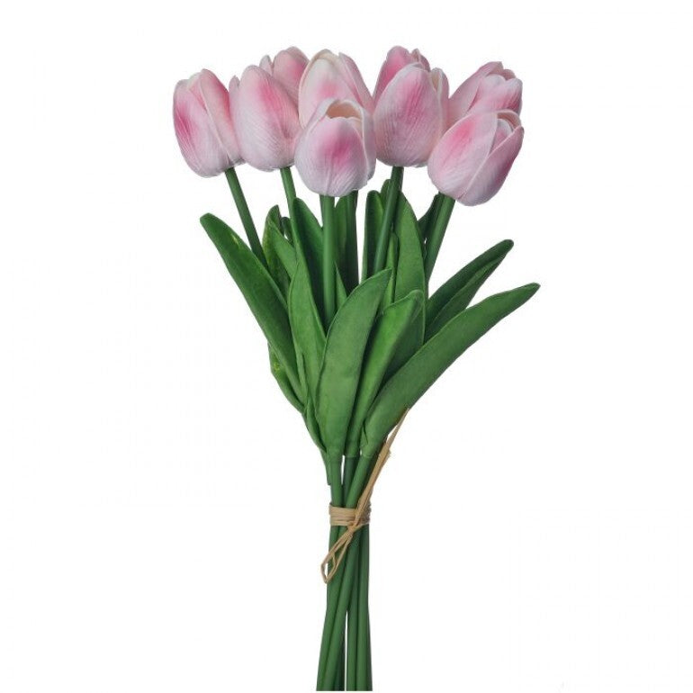 Dutch Tulip Bundle Collection