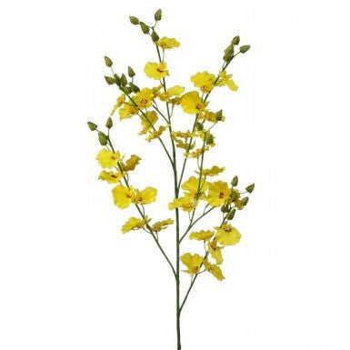 Oncidium Orchid Spray