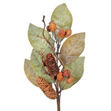 Dried Magnolia Leaf with Nuts and Cones Spray