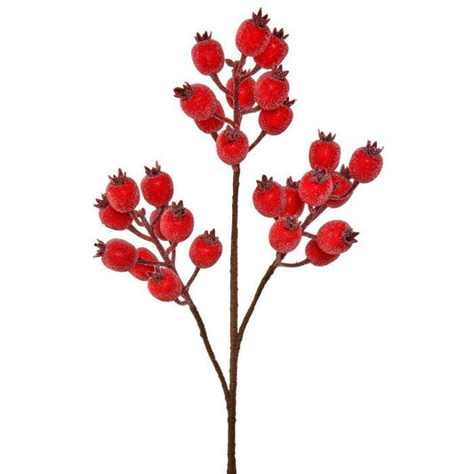 Icy Pomegranate Spray