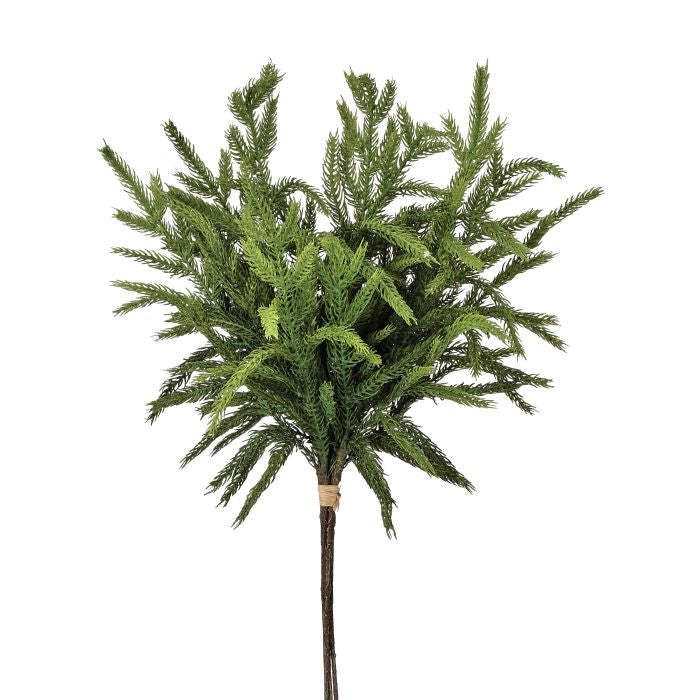 Norfolk Pine - Natural, Real Touch Collection