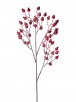 Iced Crown Berry Spray