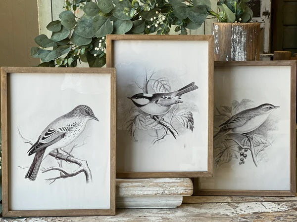 Songbird Silhouettes Framed Art