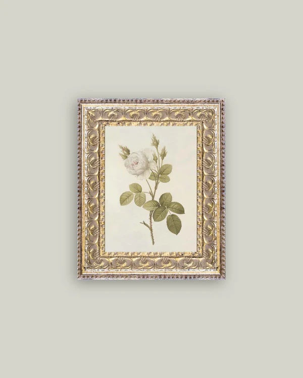 Misty Rose Wall Art