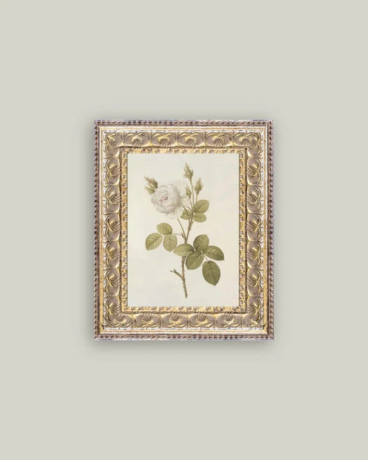 Misty Rose Wall Art