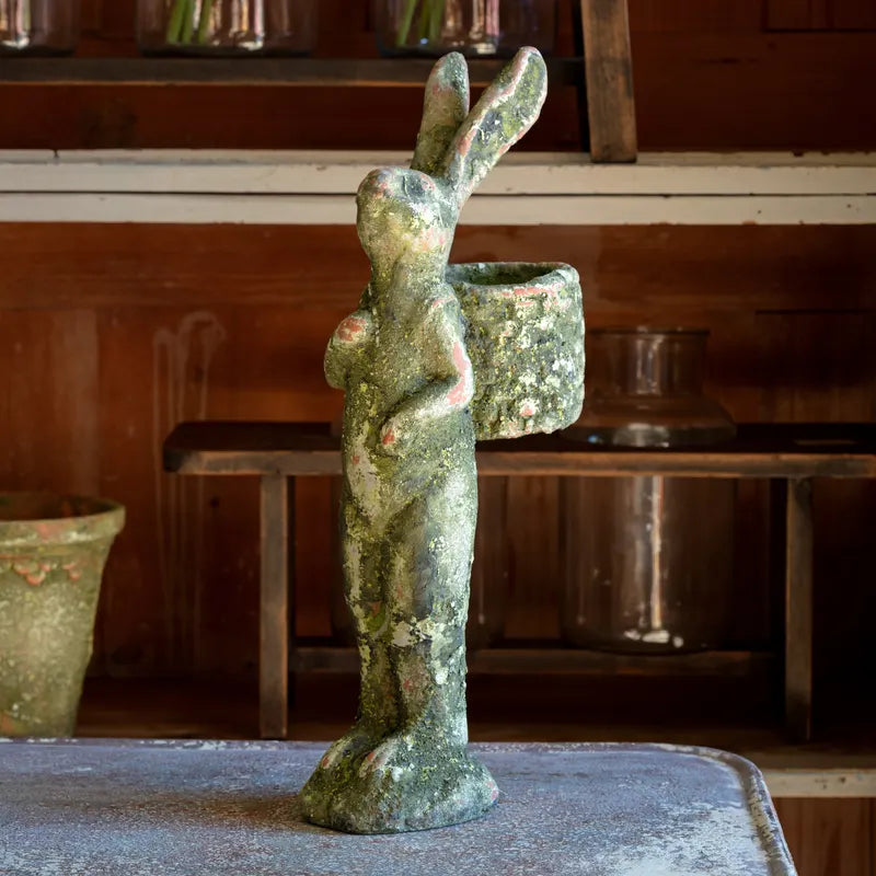 Aged Gathering Rabbit