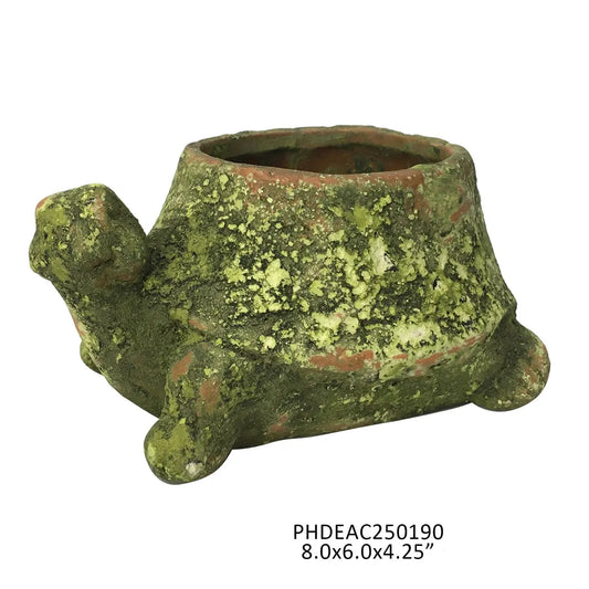Mossy Terra Cotta Turtle Planter
