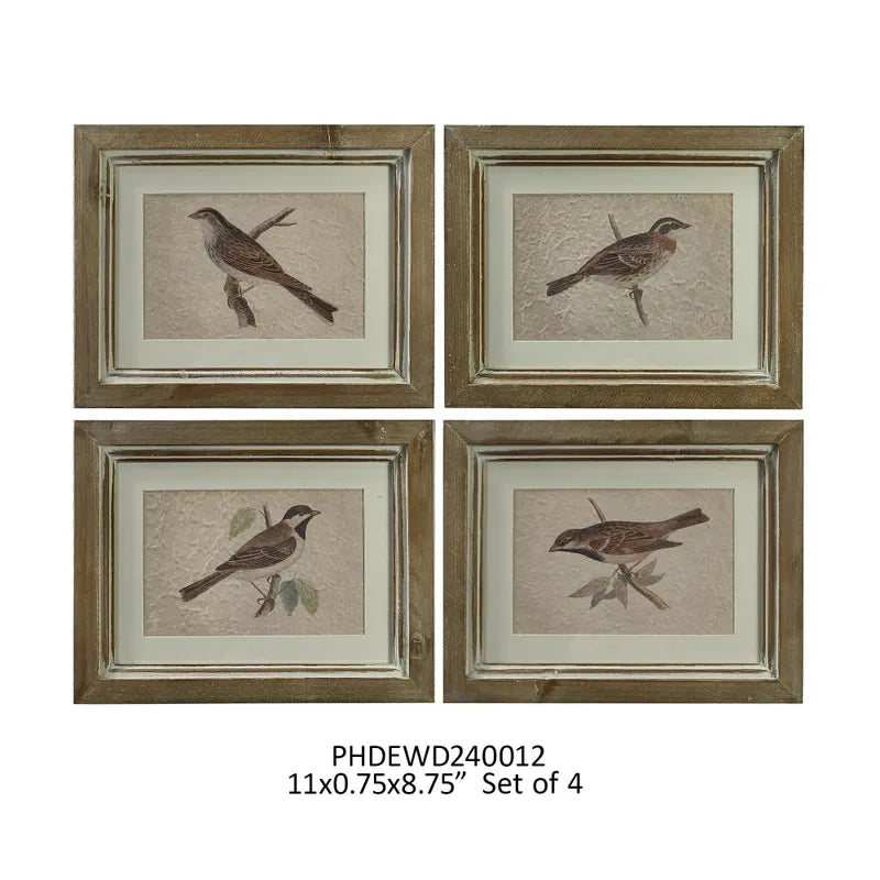Bird Study Frame Prints, Set of FOUR