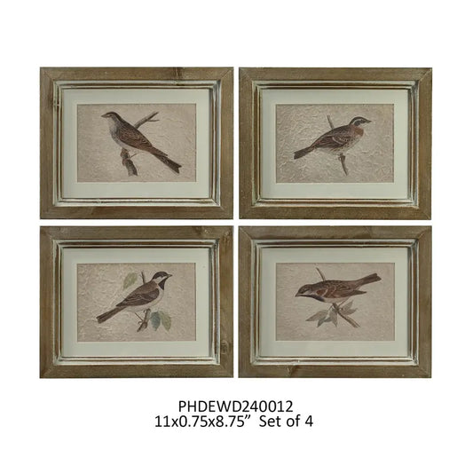 Bird Study Frame Prints, Set of FOUR