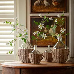 Clematis Vine Stem