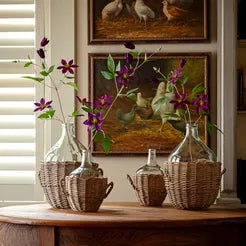 Clematis Vine Stem