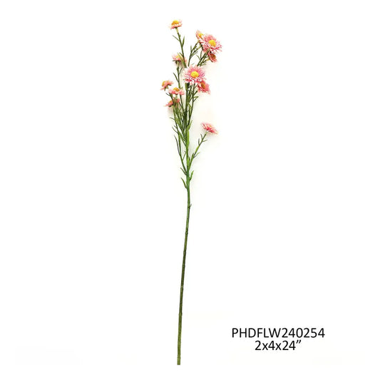 Salmon Aster
