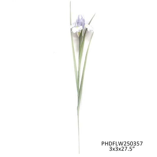 Lilac Cottage Iris