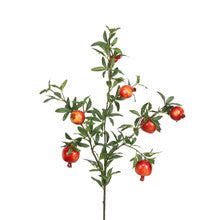 Pomegranate Stem