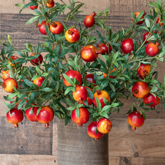 Pomegranate Stem