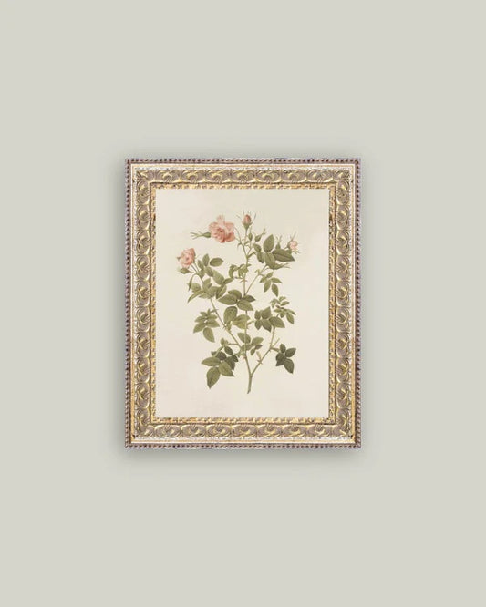 Rosa- Wall Art