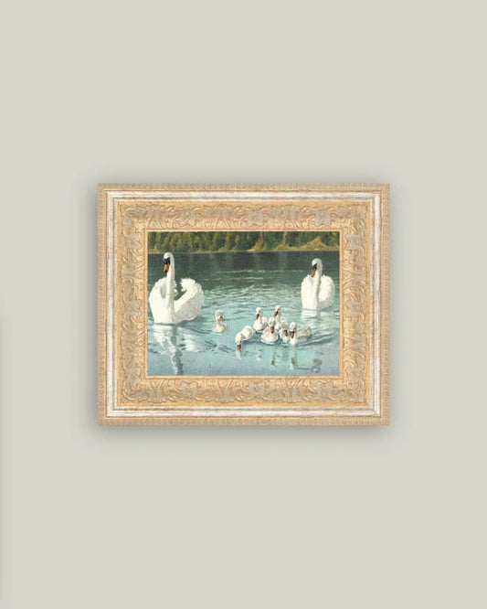 Swan Family Wall Art