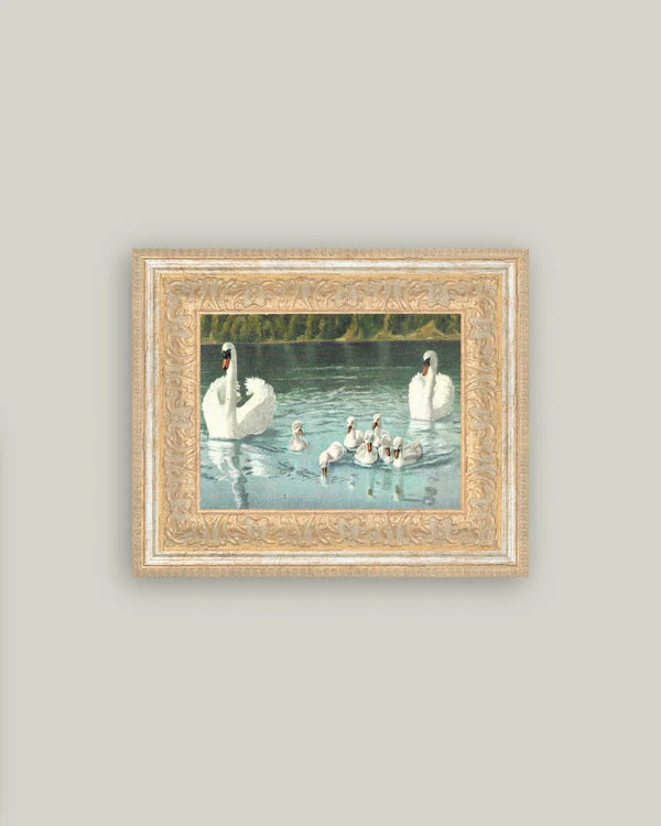Swan Family Wall Art