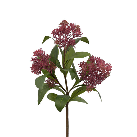 Viburnum Seed Stem - Mauve
