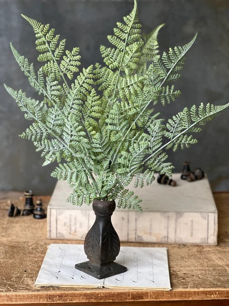 Laceleaf Longacre Fern Bundle