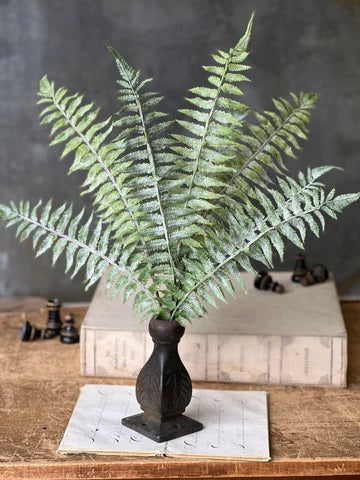 Longacre Fern Bundle