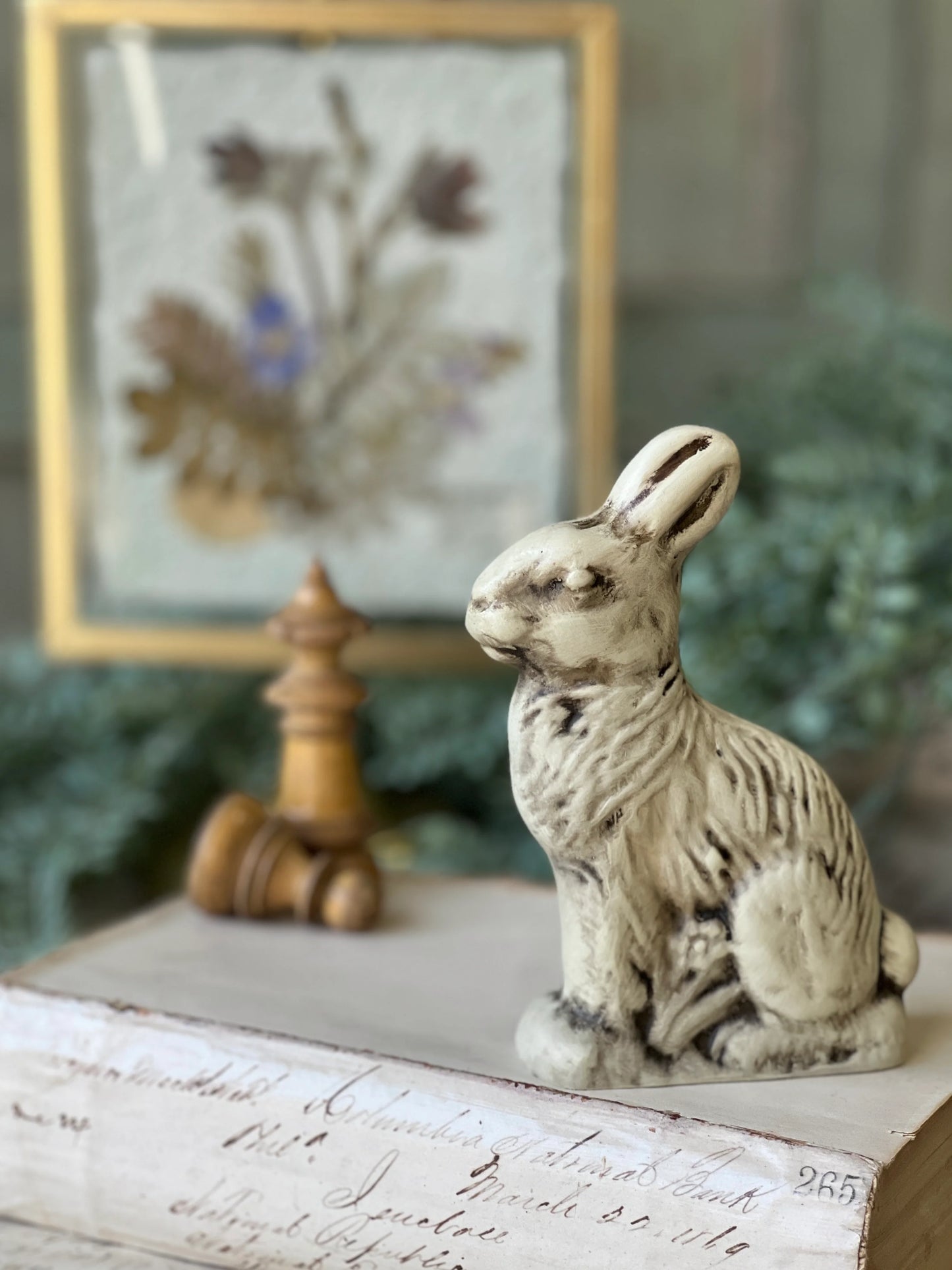 Wonderland Rabbit