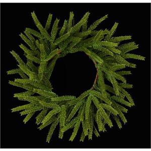 12" Norfolk Island Pine Candle Ring Green