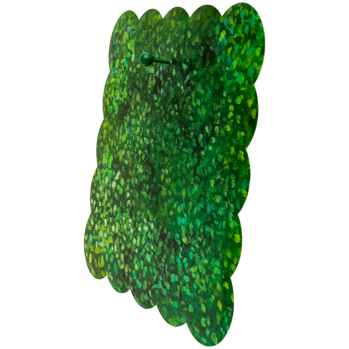 Boxwood Gallery Scallop Display Board