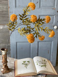 Autumn Aster Spray