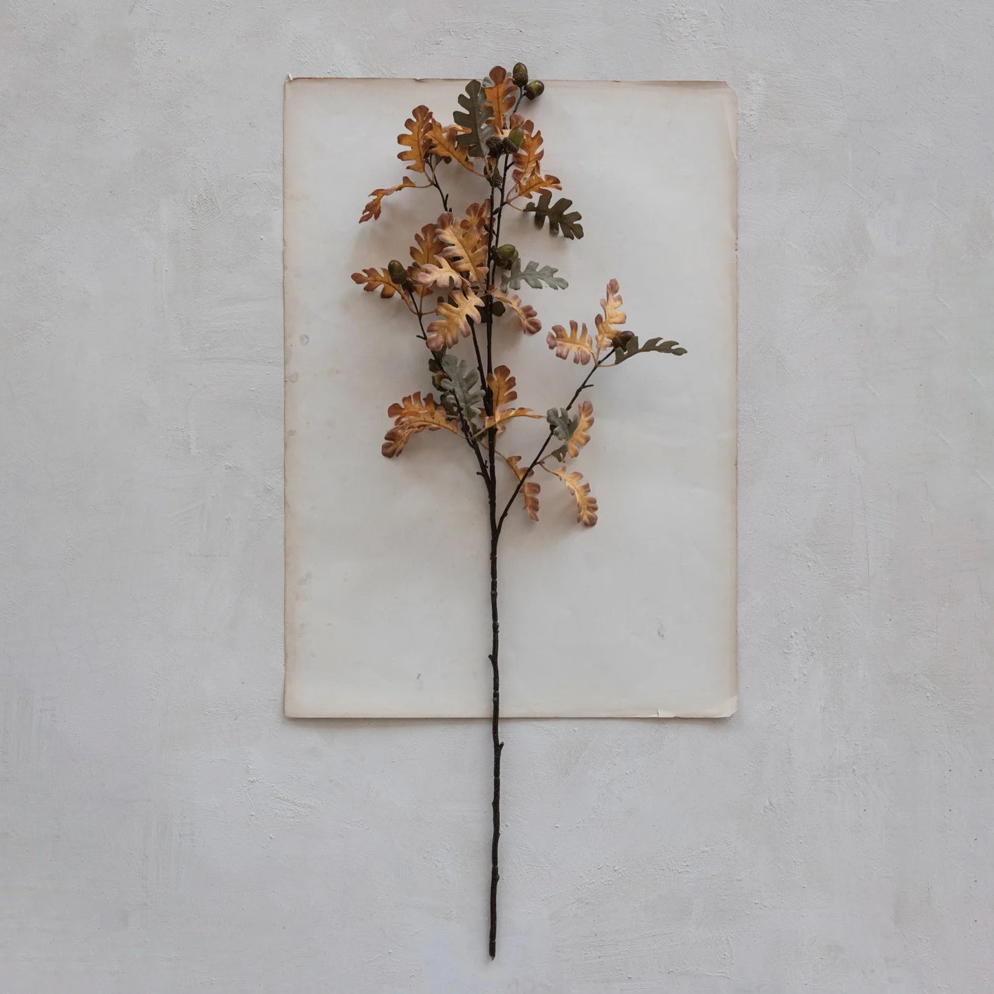 Faux Oak Stem with Acorns