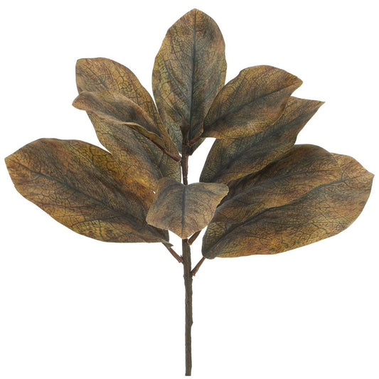 Magnolia Leaf Green