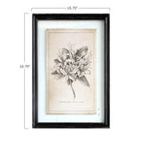 Framed Wall Decor with Floral Image, Choice of 4