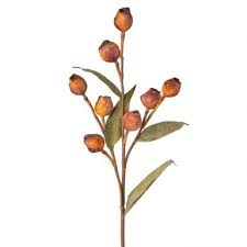 Just Dried Eucalyptus Pod Spray, 25in