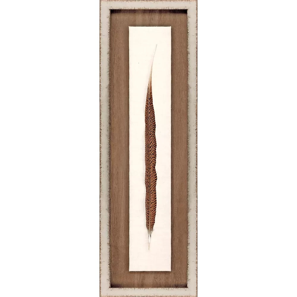 Framed Feather Art Work