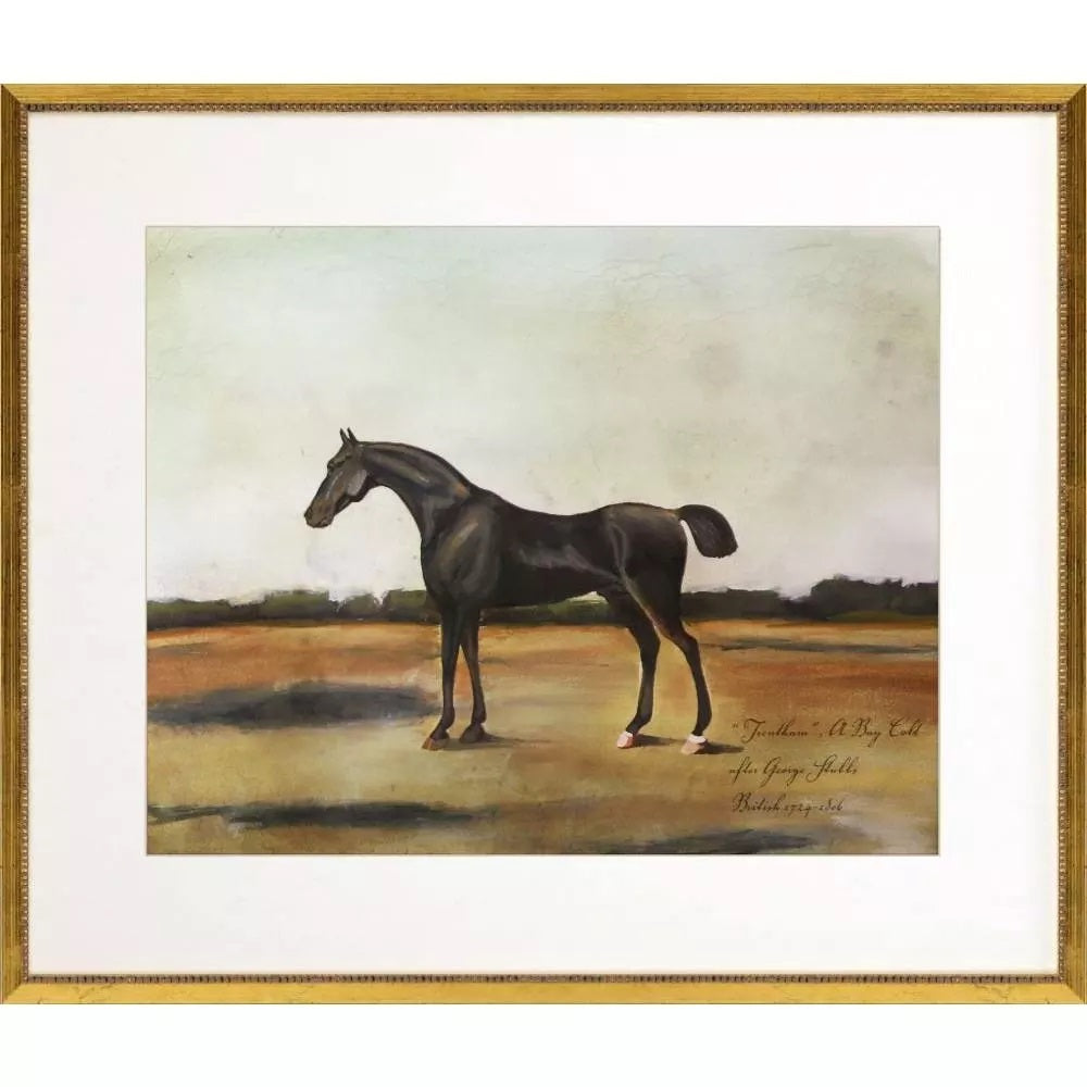 Equestrian Prints