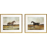 Equestrian Prints