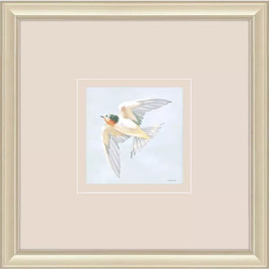 "Swifts and Swallows" Framed Art