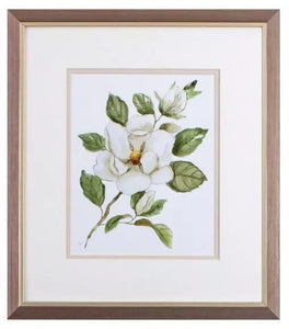 "Magnolia Morning" Framed Prints