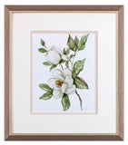 "Magnolia Morning" Framed Prints